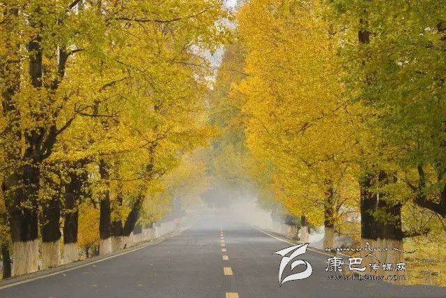 康定新都橋，有一條黃金大道通往夢(mèng)中的天堂