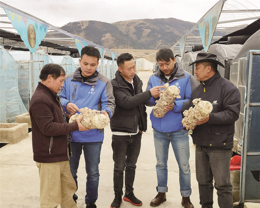 圖為隊員.jpg 圖為隊員.jpg