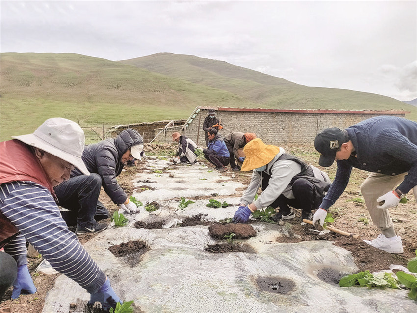 村民在萬畝.jpg 村民在萬畝.jpg