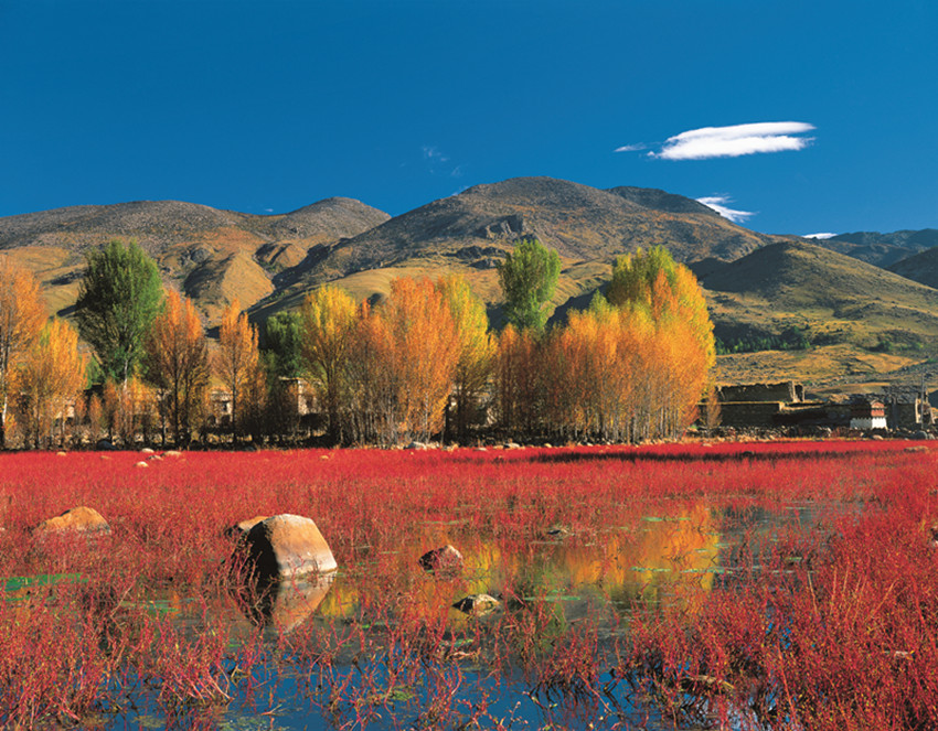 到甘孜，探秘秋冬美妙吧！