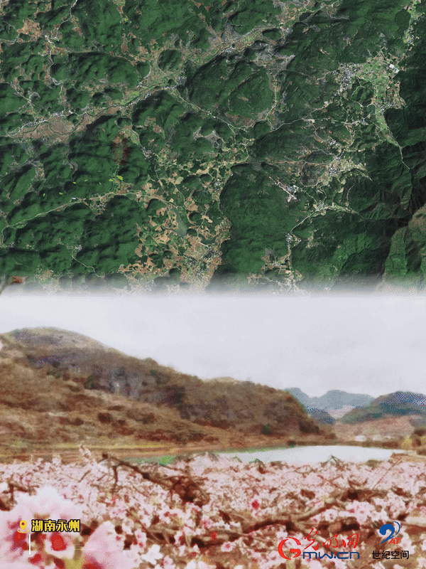 清明游玩賞花圖鑒來了！衛(wèi)星鏡頭帶你先睹為快